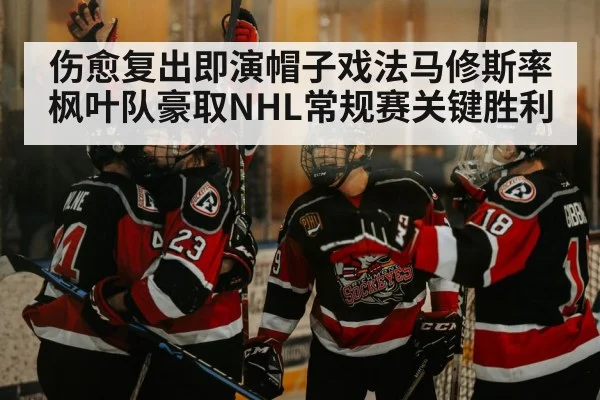 伤愈复出即演帽子戏法马修斯率枫叶队豪取NHL常规赛关键胜利